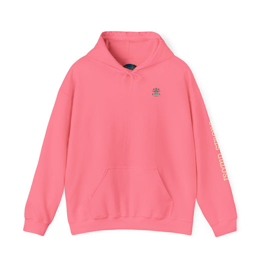 Big Kahuna Gym Hoodie  Safety Pink — Cozy Beach & Post-Workout Sweatshirt